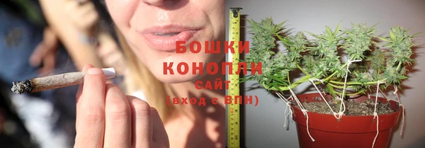 круглые Зеленокумск