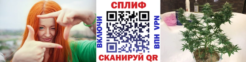 Купить закладки  Гороховец  Шишки марихуана конопля 